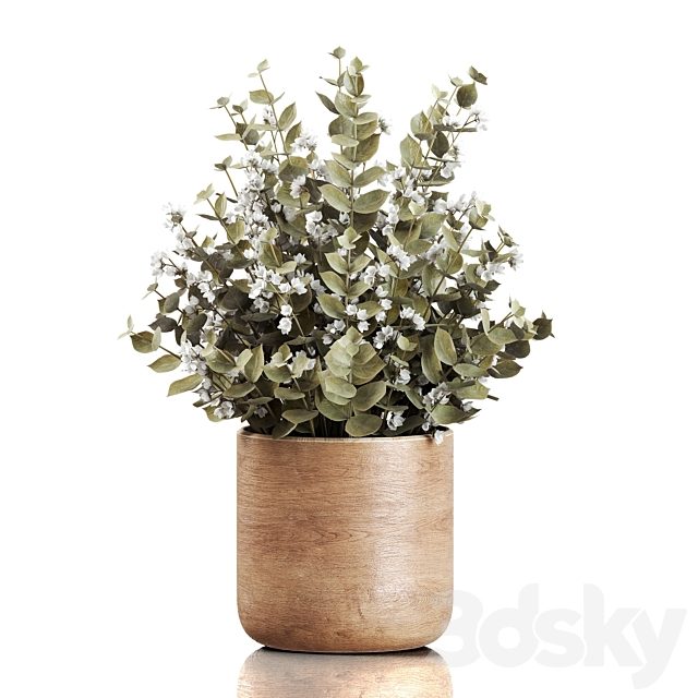 Plants Bouquet 02