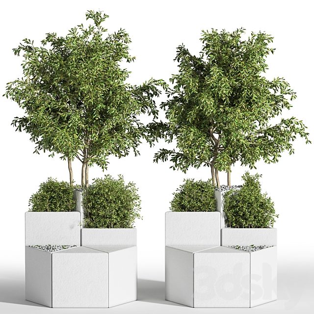 Outdoor Chair of The Shrub