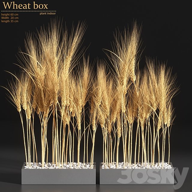 Wheat Box