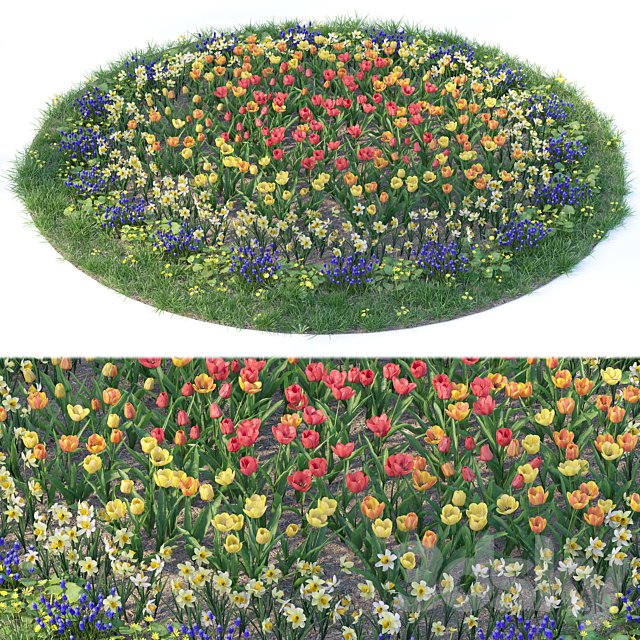 Flower garden 6