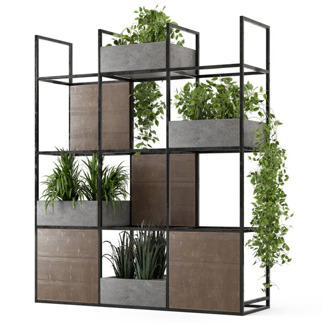 Indoor Plants in rusty Concrete Pot on Metal Shelf - Set 122