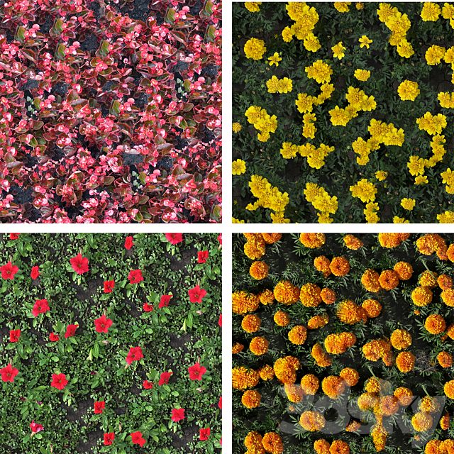 texture flower beds