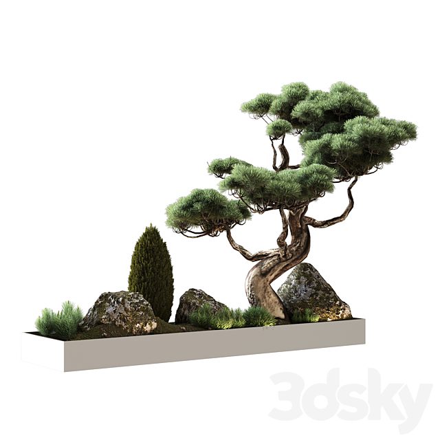 Decor with pine