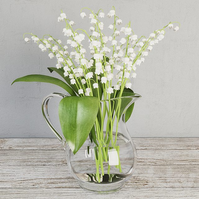 Lily of the valley (Lilies of the Valley)