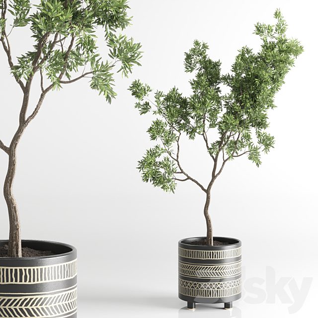 Indoor plant 56 vase handmade pottery plant tree pot