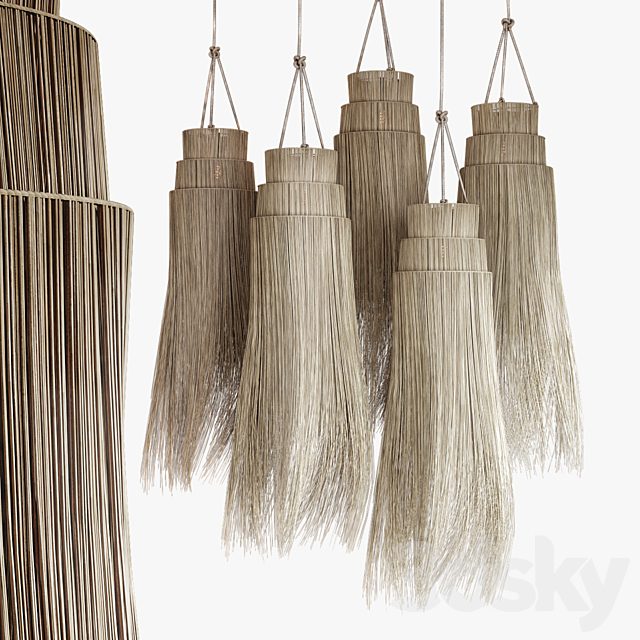 Algae lamp