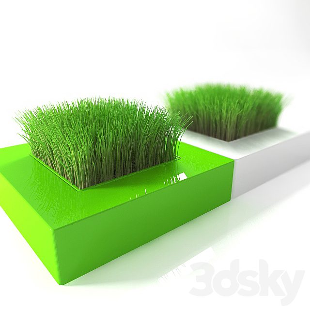 Pot of grass