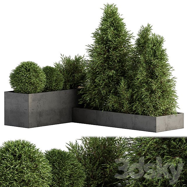 Outdoor Plant Set 231 - Plant Box with Tree
