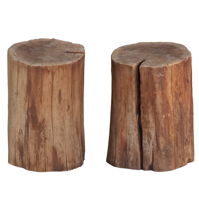 tree trunk 5