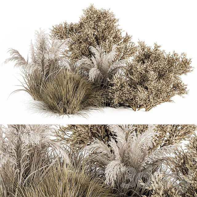 Dried Wild Plants Bush - Bush Set 36