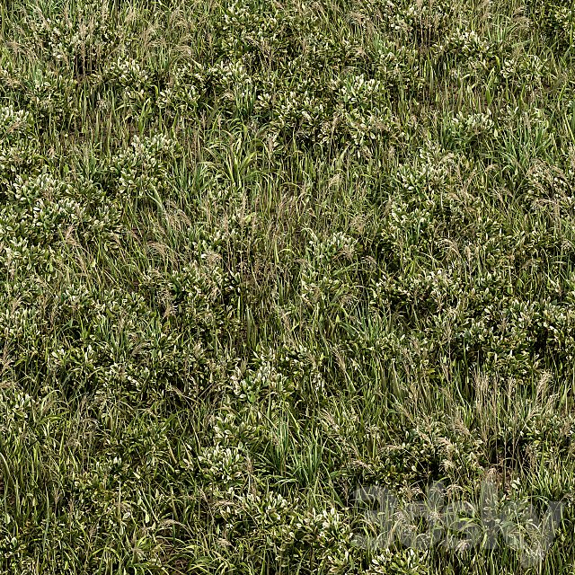 Wild Grass Green - Grass Set 01