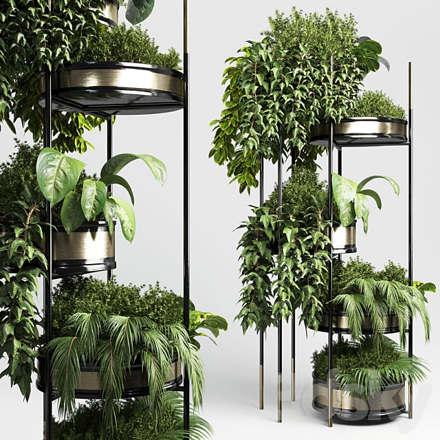 collection Indoor plant plant stairs stand metal vase 10