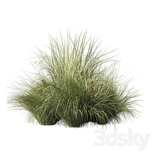 Grass Bush Set.18