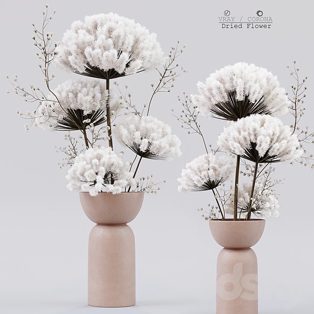 Dried Flower