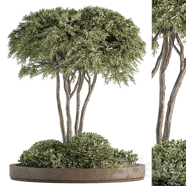 Garden set ivy and Bush - Garden Set 19