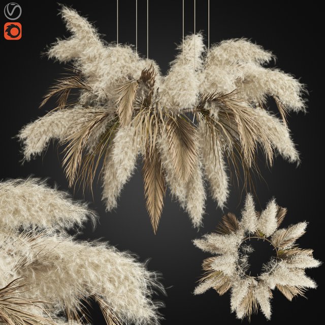 Ceiling pampas 02