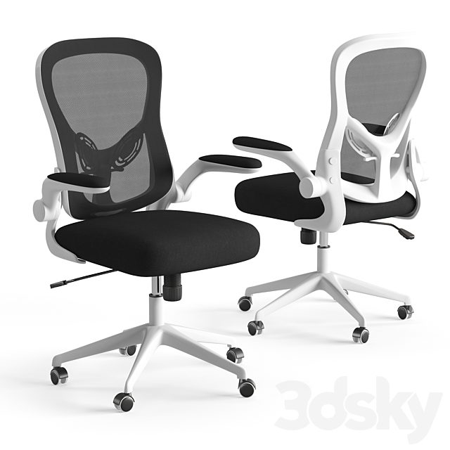 Xiaomi HBADA Ergonomic Double-Waisted Computer Chair HDNY163WM