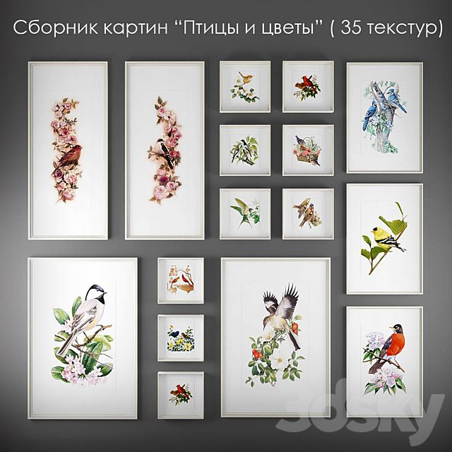 A collection of paintings of birds and flowers "