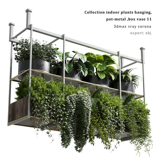 collection Indoor plants hanging pot-metal bax vase 11