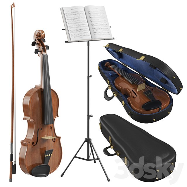 The Violin With Case