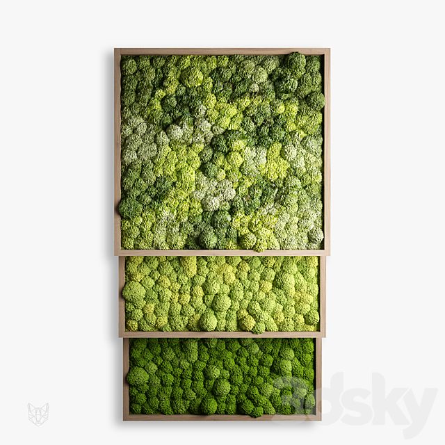 panels of moss