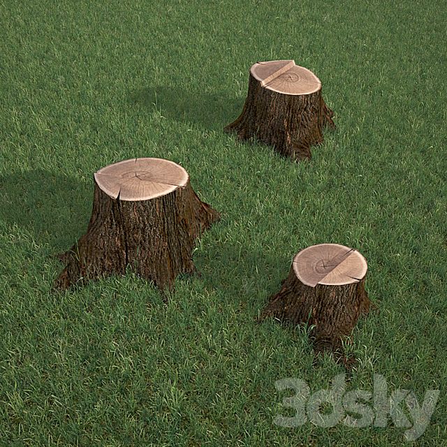 Oak stump