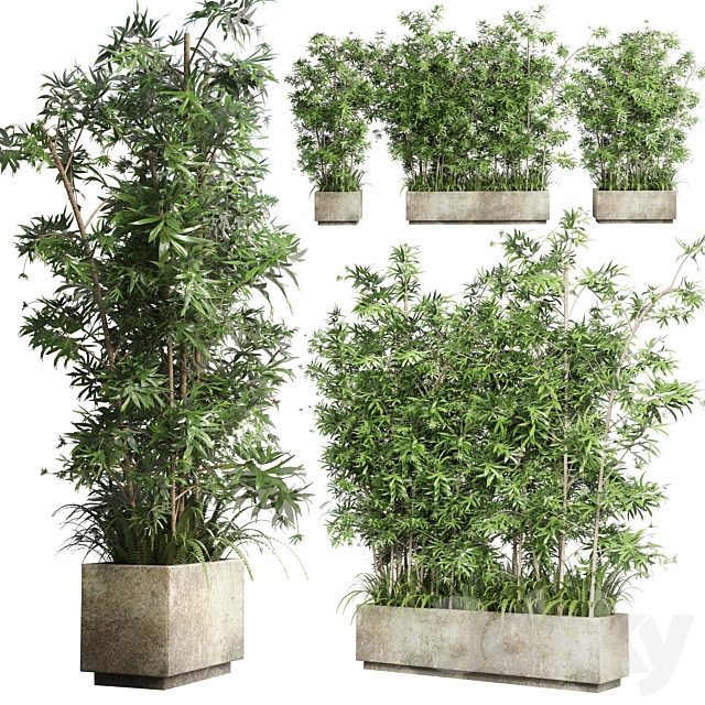 Collection Outdoor plant 49 concrete dirt old vase bax pot tree fern bamboo