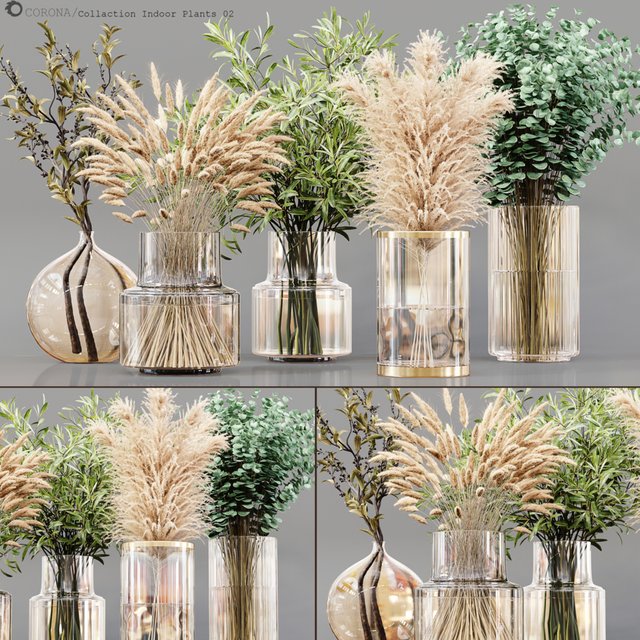 Collection Indoor Plants 02