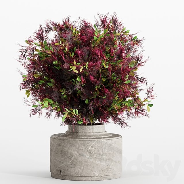 bouquet 7