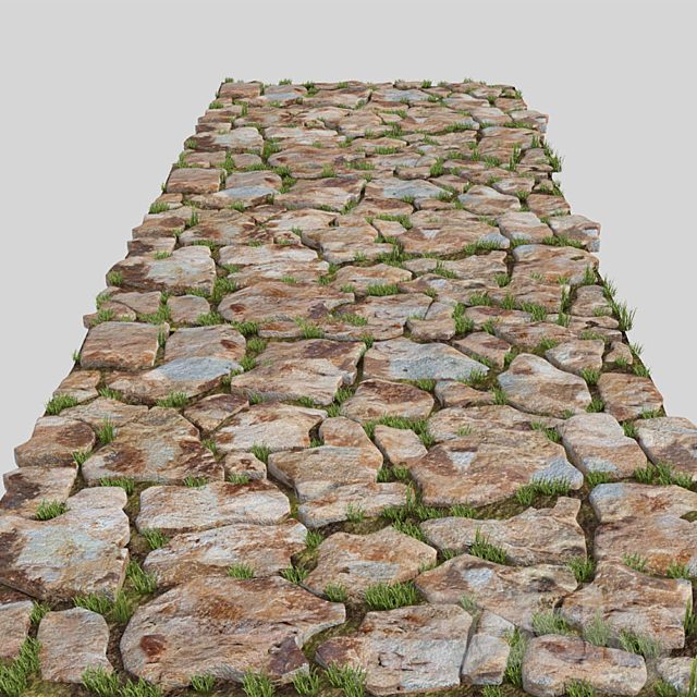 Stone-paved track