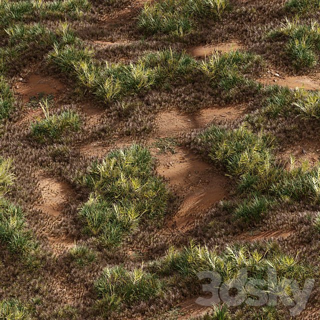 Meadow Lawn Grassland Set 003