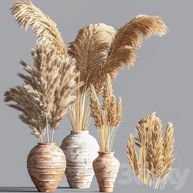 Indoor Plant Set10