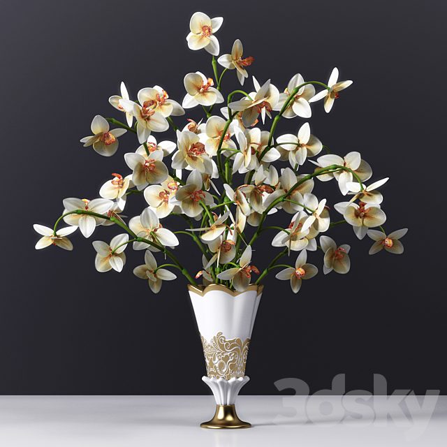 ORCHID 2