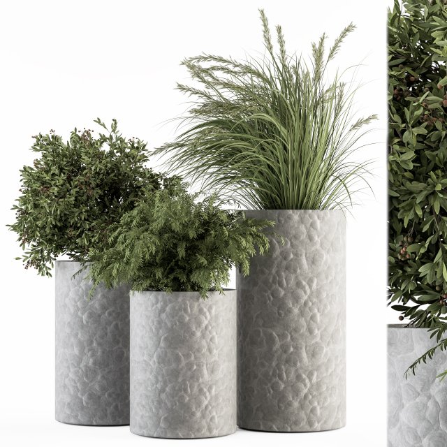 Outdoor Plant Set 292 - Plant Set in Concrete Pot
