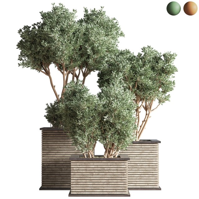 Outdoor Plants tree 22