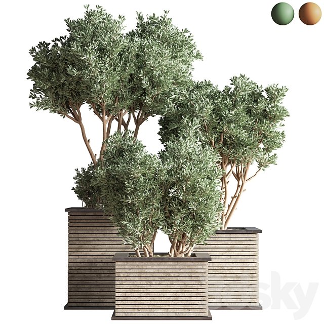 Outdoor Plants tree 22