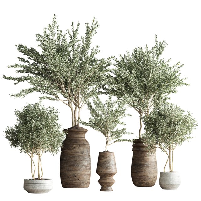 indoor plant set 23