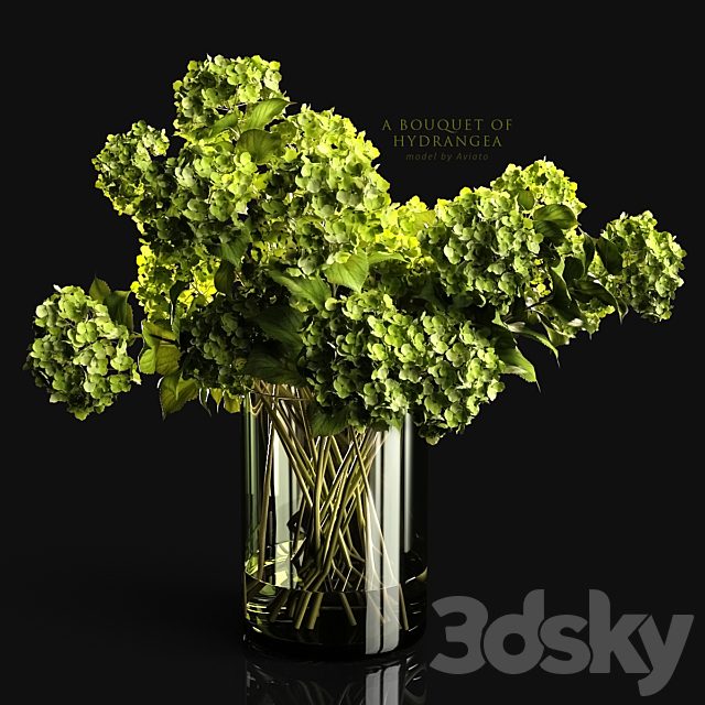 A bouquet of hydrangea