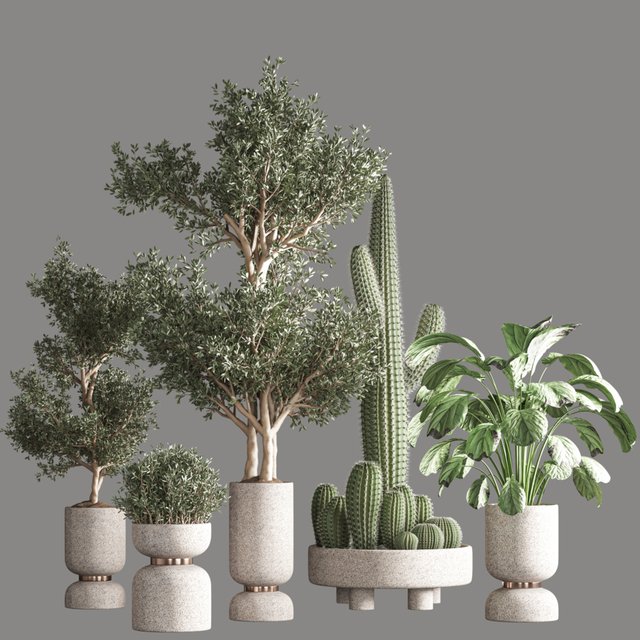 indoor plant set 26