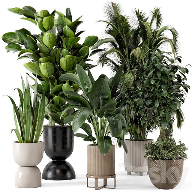 Indoor Plants in Ferm Living Bau Pot Large - Set 290