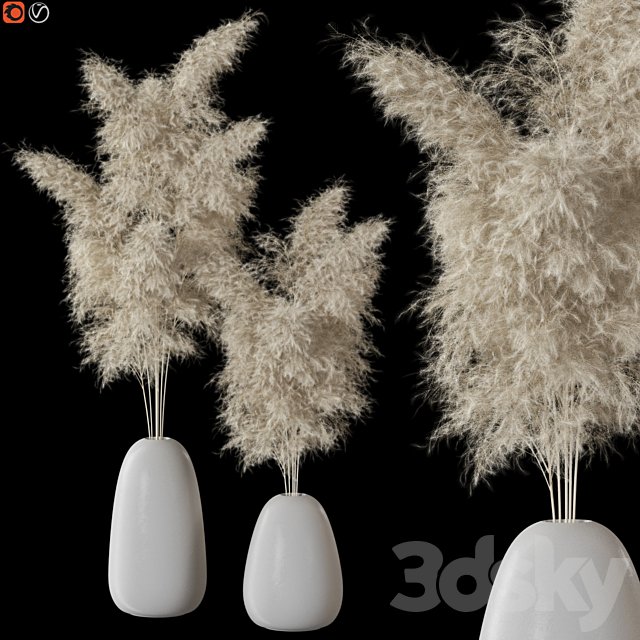 Decorative Pampas