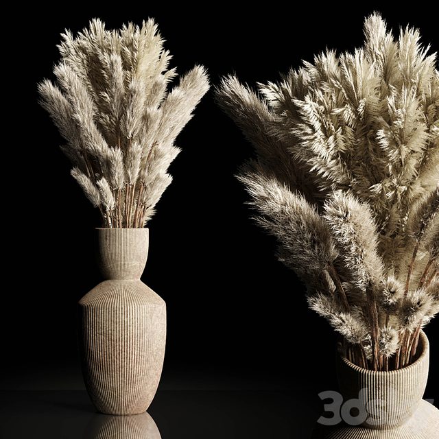 Dry Plants Bouquet Indoor concrete vase