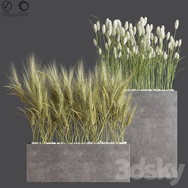 Indoor Plant Set 66