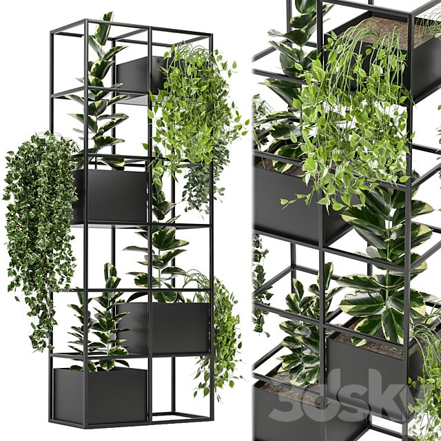 indoor plants in rusty concrete pot on metal shelf - Set 110