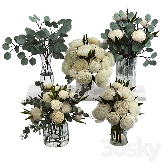 Bouquets of eucalyptus and peonies