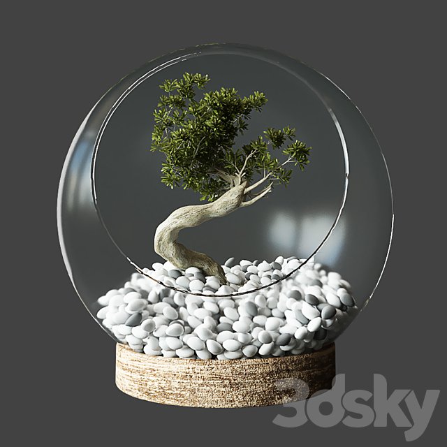 Little Tree In Glass Globe