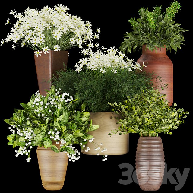 Collection plant vol 262 - Bouquet - flower