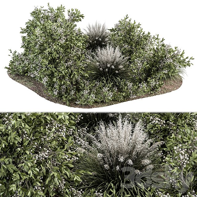 Green and White Bush - Outdoor Garden Set 325