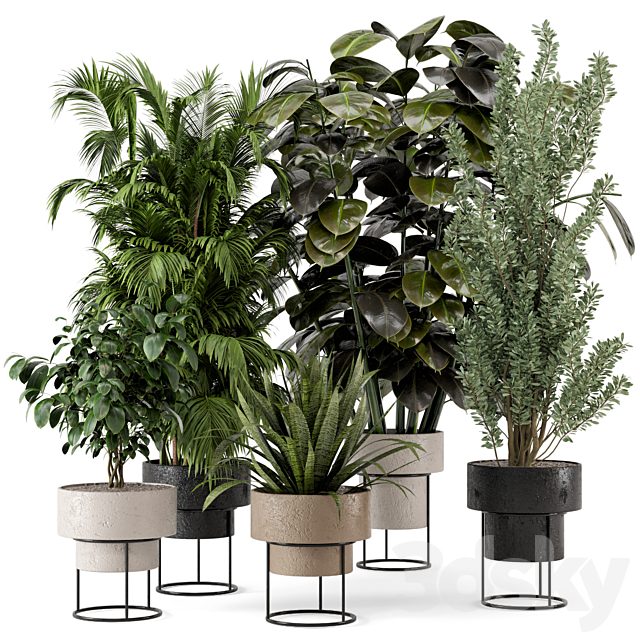 Indoor Plants in rusty Concrete Pot on Metal Shelf  - Set 328