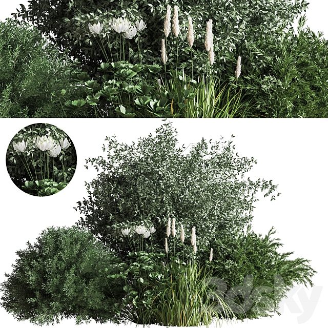 Bush04